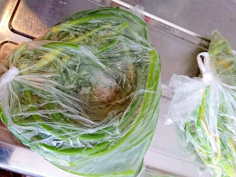 ★ニンニクの芽の冷凍保存方法★
